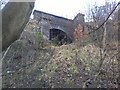 Cocker Hill Railway Tunnel, eastern exit