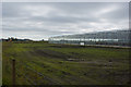 Greenhouses at Hootons Farm