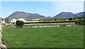 Pasture land alongside Majors Hill road