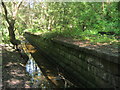 Remains of platform on eastern side of site of Station Bridge Station