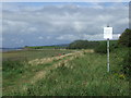 SD4666 : Lancashire Coastal Path near Hest Bank by Malc McDonald