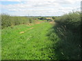 Footpath to Haswell in a green lane