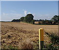 Footpath south of Ompton