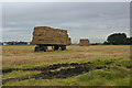 Crops for collection at Snape Green