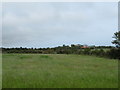 Farmland east of the Quarter Road