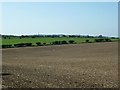 Farmland  above Wantage