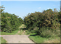 Icknield Way at Green End Farm