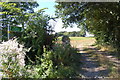 Public footpath off Bethersden Road