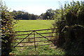 Entrance to Grass Field, off Woodchurch Road