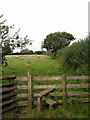 Stile on the path to Hanslope