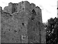 Oystermouth Castle, chapel window