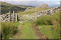 SH7266 : Ladder stile and gate by Philip Halling