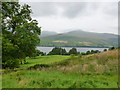 Farmland on the north side of Allt a