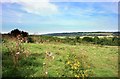 View From Chawley Lane