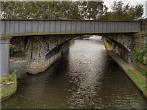 SJ8297 : River Irwell, Railway Bridge by David Dixon