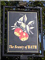 The Beauty of Bath, Pub Sign