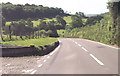 A485 from entrance to Bwlchygwynt