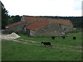 Farm building, The Lund