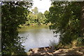 Pond near Grovehurst Farm