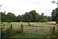 Hay Bales in field off Hayman