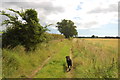 The Suffolk Coast Path near Chillesford