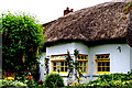 R4646 : Adare - Main Street (N21) - Thatched-Roof Light Blue & Yellow Cottage Dwelling by Suzanne Mischyshyn