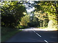 Churt Road looking north