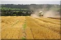 SJ9030 : Harvesting near Pirehill House by Derek Harper