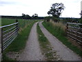 Farm track (footpath) towards Swainsea Lane