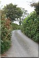 SX1765 : Narrow Lane looking towards Ley by roger geach