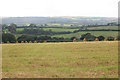 Straw bales in the field