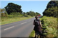 The Suffolk Coast Path - A1094