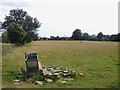 Sheep pasture west of Outwood Lane