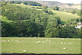 Farmland by the A5