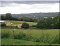 View across farmland from Raby