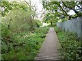 Iford Meadows, boardwalk