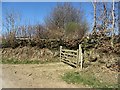 Gate off Thorne Lane