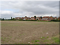 Houses on Fairway 