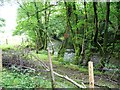 Afon Ogwr below Blackmill