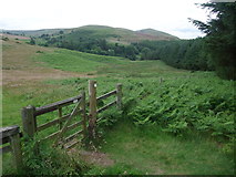 NT9726 : Looking north-west towards the Cheviots from the plantation on Kenterdale Hill by Tim Heaton