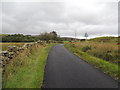 Road to Balmurrie near Craigfolly