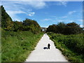 Heading for the Lowfield Lane bridge