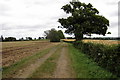 Path into Newton Longville