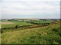 View north from up on Hedleyhope Fell