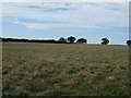 Farmland, Valbrook Farm