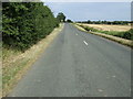 Road towards Swineshead