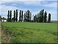 Farmland towards kennels