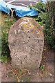 Milestone at Broadmead, Chideock