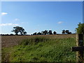 Fields near Lugbury Farm