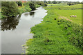 The River Lagan at Donaghcloney (2)